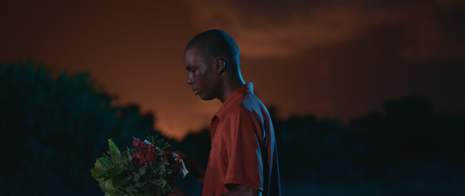 A young boy holds flowers at dusk